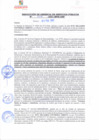 Vista preliminar de documento rgsp21047