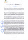 Vista preliminar de documento rgsp21072