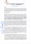 Vista preliminar de documento rgsp21066