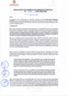 Vista preliminar de documento rgsp21068