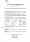 Vista preliminar de documento rgsp21084