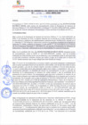Vista preliminar de documento rgsp21079