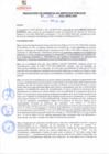 Vista preliminar de documento rgsp21087