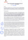 Vista preliminar de documento rgsp21091