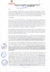 Vista preliminar de documento rgsp21096