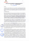 Vista preliminar de documento rgsp21094
