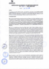 Vista preliminar de documento rgsp21100