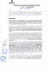 Vista preliminar de documento rgsp21104