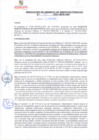 Vista preliminar de documento rgsp21119