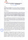 Vista preliminar de documento rgsp21126