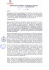 Vista preliminar de documento rgsp21161