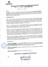 Vista preliminar de documento rgsp21230