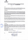 Vista preliminar de documento rgsp21231