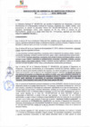 Vista preliminar de documento rgsp21253