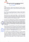 Vista preliminar de documento rsgp21309
