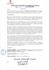 Vista preliminar de documento rsgp21311