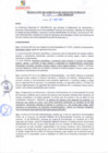 Vista preliminar de documento rsgp21310