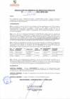 Vista preliminar de documento rsgp21316