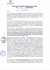 Vista preliminar de documento rgsp21337