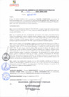 Vista preliminar de documento rgsp21332