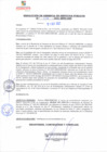 Vista preliminar de documento rgsp21358