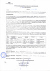 Vista preliminar de documento rgsp21368