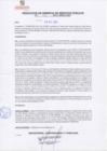 Vista preliminar de documento rgsp21374