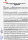 Vista preliminar de documento rgsp21376