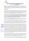 Vista preliminar de documento rgsp21461