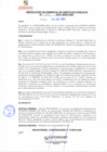 Vista preliminar de documento rgsp21472