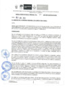 Vista preliminar de documento R.G.R Nº311-2024