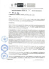 Vista preliminar de documento R.G.R Nº313-2024