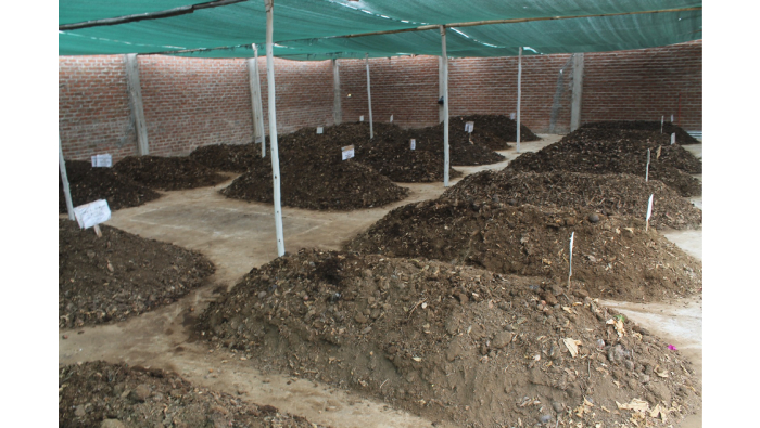 𝗠unicipalidad de 𝗧ambogrande realiza taller de elaboración de abonos orgánicos