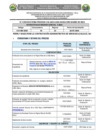 Vista preliminar de documento VI CONVOC CAS JEC 2024