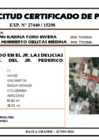 Vista preliminar de documento 146 - LILIAN KARINA TORO RIVERA y LUIS HUMBERTO OBLITAS MEDINA