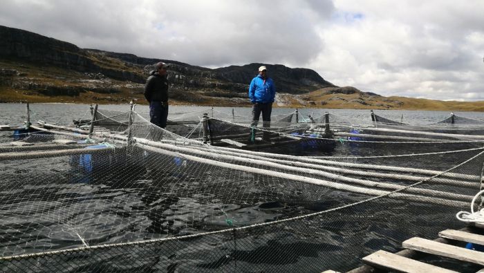 FOTO WEB - CAJAMARCA 2