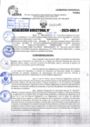 Vista preliminar de documento R.D 02451-2023
