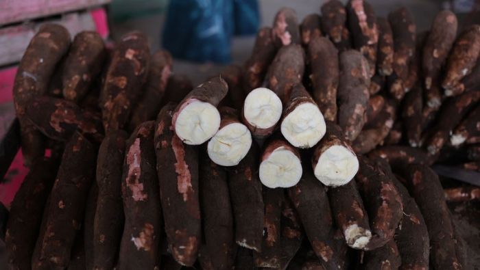 Hoy ofertas en yuca, tomate, zanahoria, piña, naranja, plátano y otros en mercados mayoristas