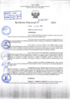 Vista preliminar de documento R.D 02447-2023