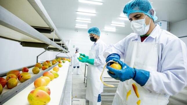 Perú se prepara a exportar fruta congelada a China, un mercado potencial de 1,400 millones de consumidores de alimentos
