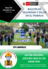 Vista preliminar de documento Boletín 009 - Tips Laborales