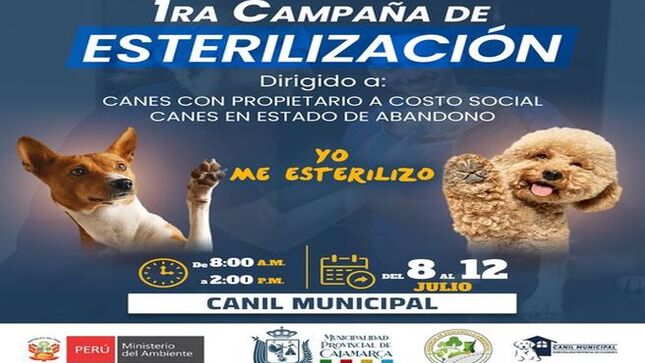 ✅ Participa de la primera campaña de esterilización 2024 del 8 al 12 de julio que se desarrollará en el Canil Municipal de 8:00 a. m. a 2:00 p. m. 
⚠️ Esta iniciativa responde a la ley N° 30407, que busca garantizar el bienestar y protección de los animales vertebrados domésticos o silvestres mantenidos en cautiverio, y a la ley N° 31311, que prioriza la esterilización de perros y gatos como parte de la política nacional de salud pública.