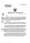 Vista preliminar de documento RD_N057-2023-DG-HEJCU