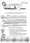 Vista preliminar de documento R.D 02442-2023
