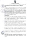 Vista preliminar de documento RA 208-2024