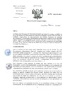 Vista preliminar de documento RD-43-2024-DG-INCN