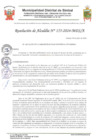 Vista preliminar de documento resolución N°155