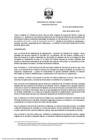 Vista preliminar de documento RDN° 0114-2024-MINEM/DGAAE