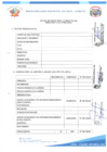 Vista preliminar de documento FICHA CURRICULAR CAS N°002-2024