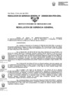 Vista preliminar de documento 030-2024-GRAL